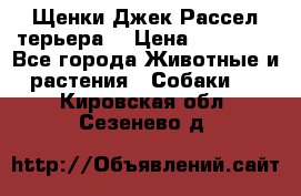 Щенки Джек Рассел терьера  › Цена ­ 15 000 - Все города Животные и растения » Собаки   . Кировская обл.,Сезенево д.